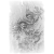 "The Great Sage's Broken Shell" icon