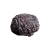 "Electrified Brain" icon
