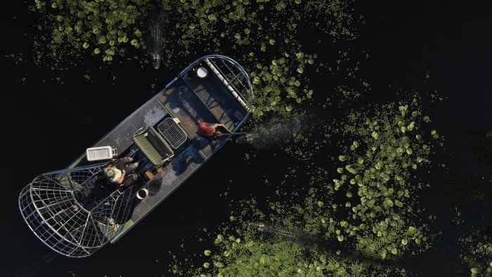 Grassrivers (Grand Theft Auto VI)