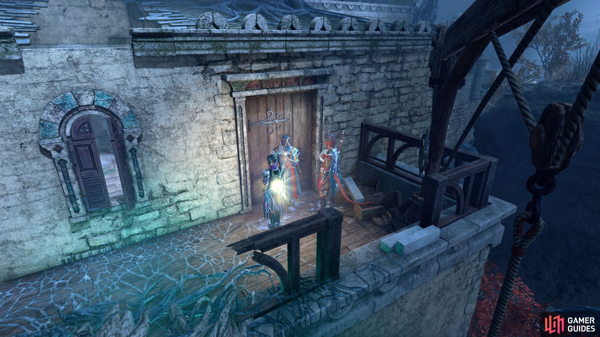 Investigate the Selunite Resistance in BG3 Last Light Cellar, Mason's
