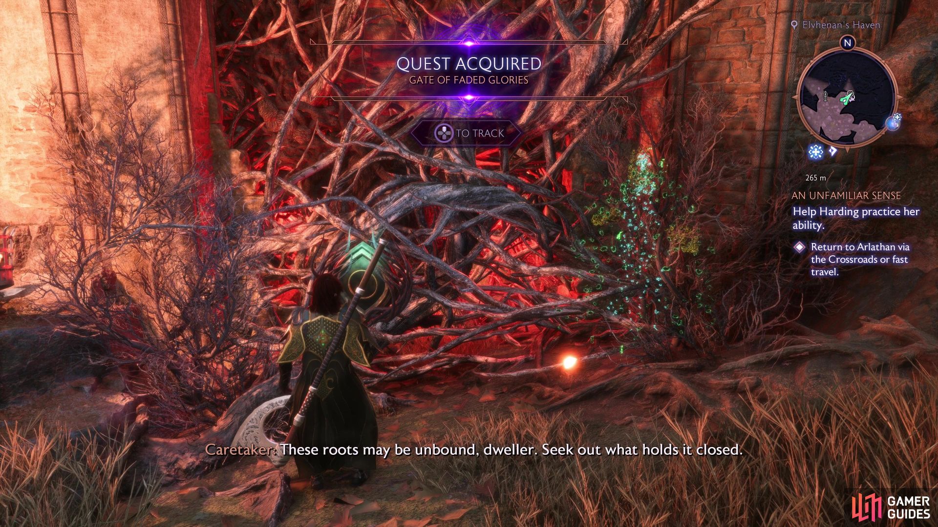 Gate of Faded Glories Quest Walkthrough - Arlathan Forest - Side