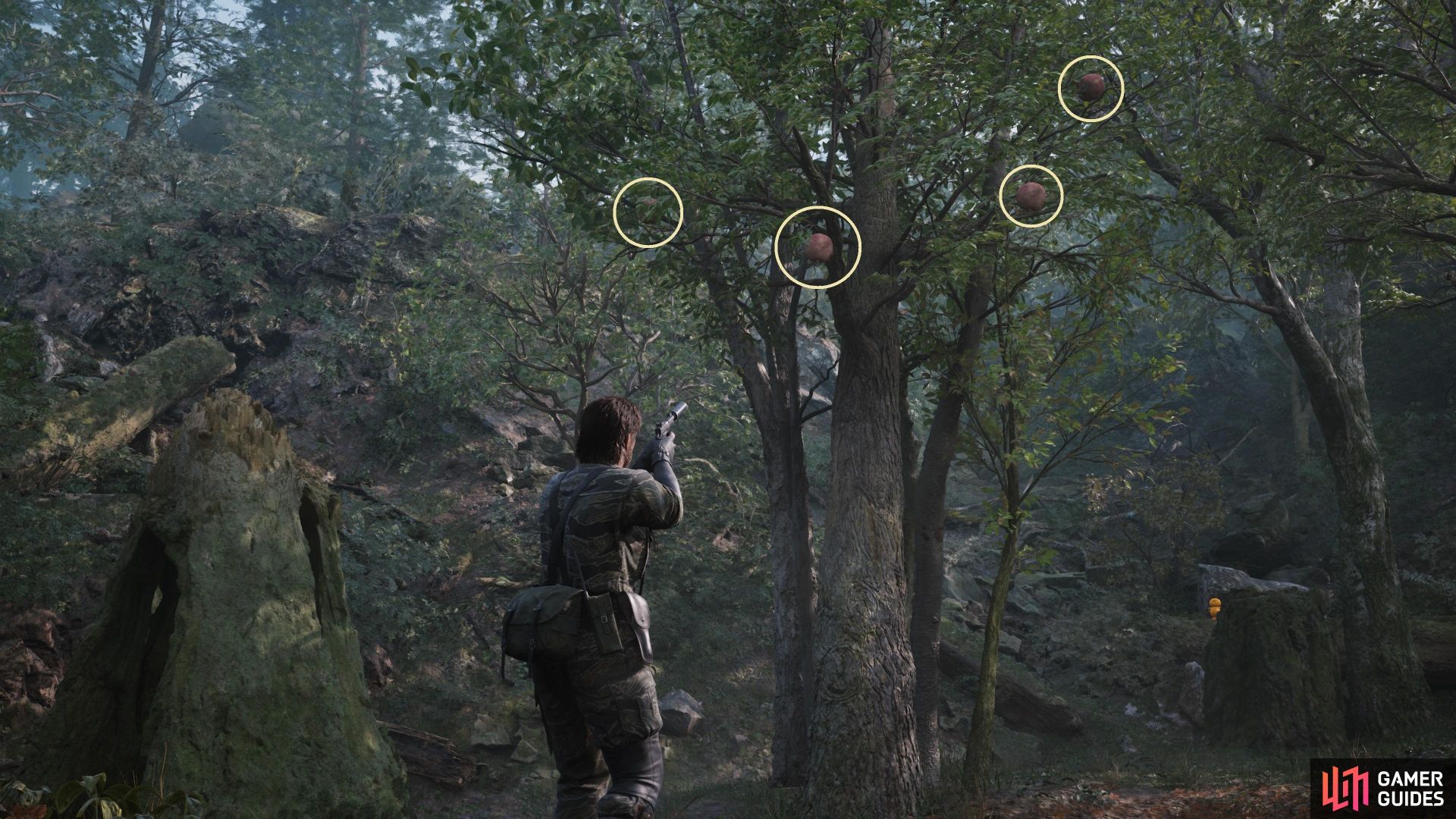 All Fruit Locations | Metal Gear Solid Delta: Snake Eater | Gamer Guides®