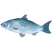 Category icon