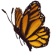 Category icon