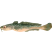 Category icon