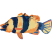 Category icon