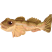 Category icon