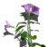 Category icon