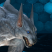 Category icon