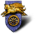 Category icon