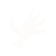 Category icon