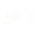 Category icon