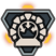 Category icon