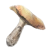 Category icon