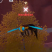 Category icon