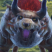 Category icon