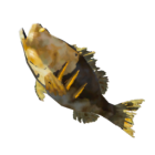 Item icon