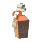 Item icon