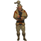 Item icon