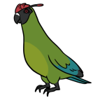 Item icon