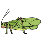 Item icon