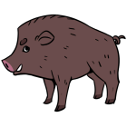 Item icon