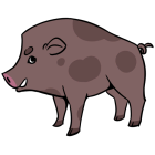 Item icon
