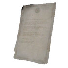 Item icon