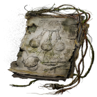 Item icon