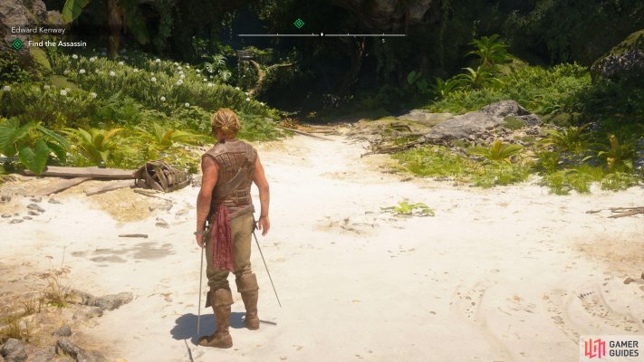 Edward Kenway