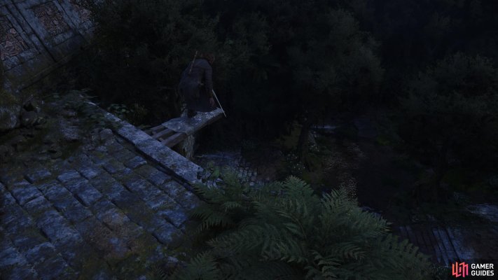 Viewpoint