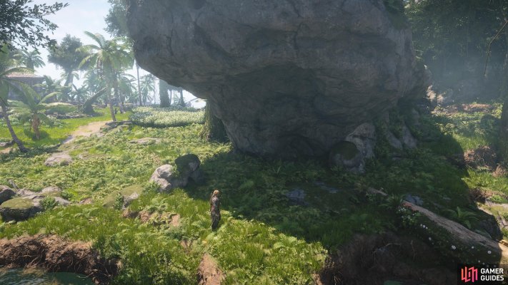 (Secret) Requires Great Inagua Treasure Map