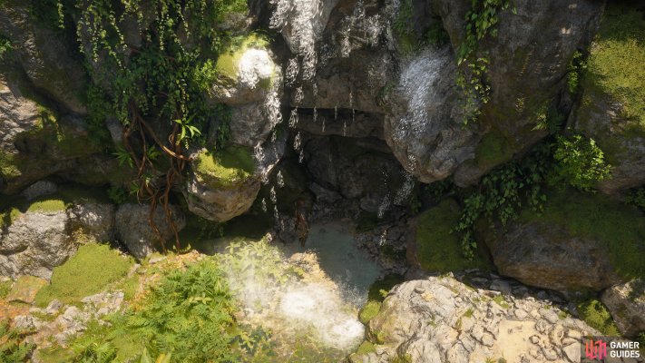 (Secret) Requires Tortuga Treasure Map