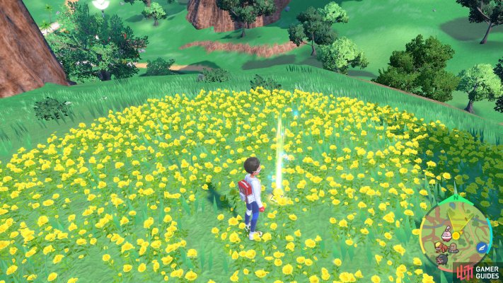 Marker screenshot