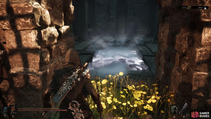 Feeding Grounds
