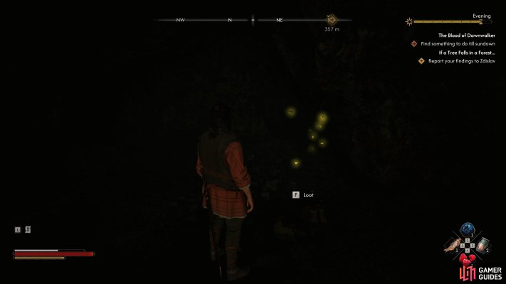 Into the Den