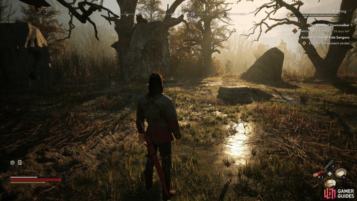 Ancient Circle: Northern Swamps