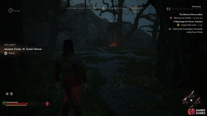 Ancient Circle: St. Tyna's Grove (Day Only)