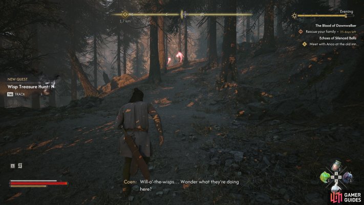 Wisp Treasure Hunt: North Creek