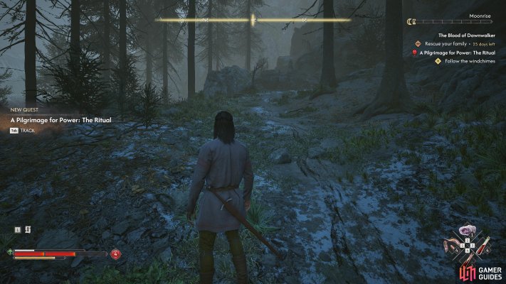 A Pilgrimage for Power: The Ritual