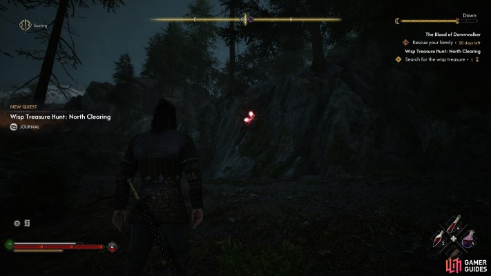 Wisp Treasure Hunt: North Clearing