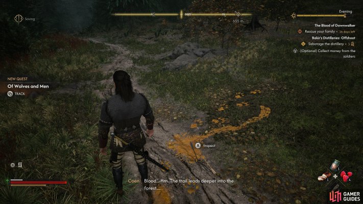 Of Wolves and Men