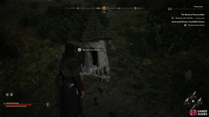 Destroyed Shrines: Rockfalls Pasture