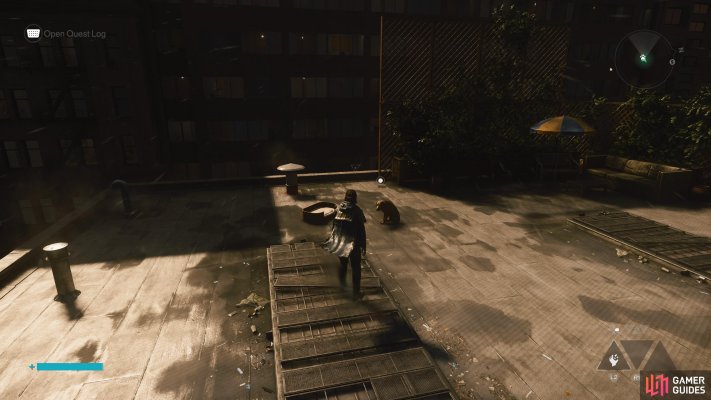 West Incursion Zone Dog