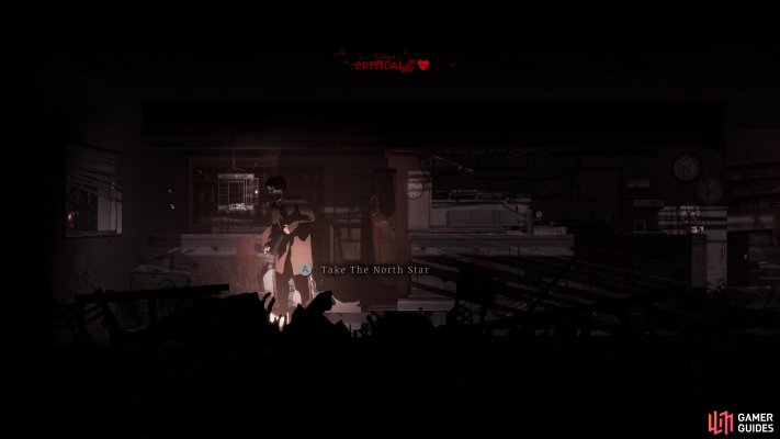 The North Star