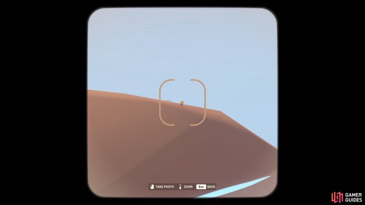 Desert Sparrow