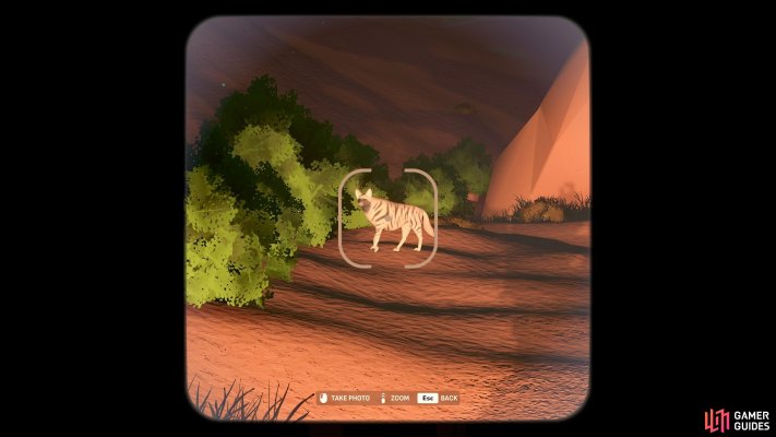 Striped Hyena
