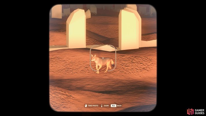 Jackal