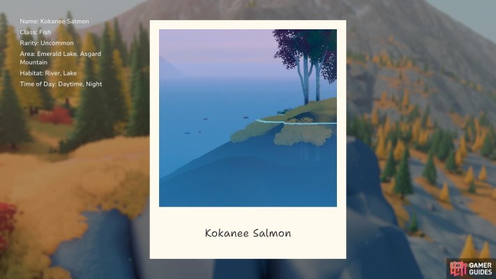 Kokanee Salmon