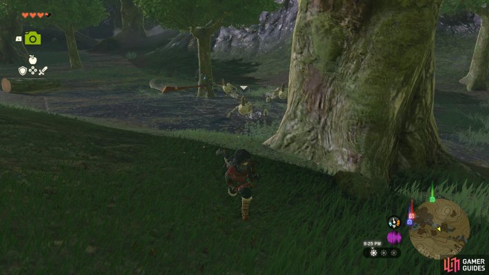 Marker screenshot